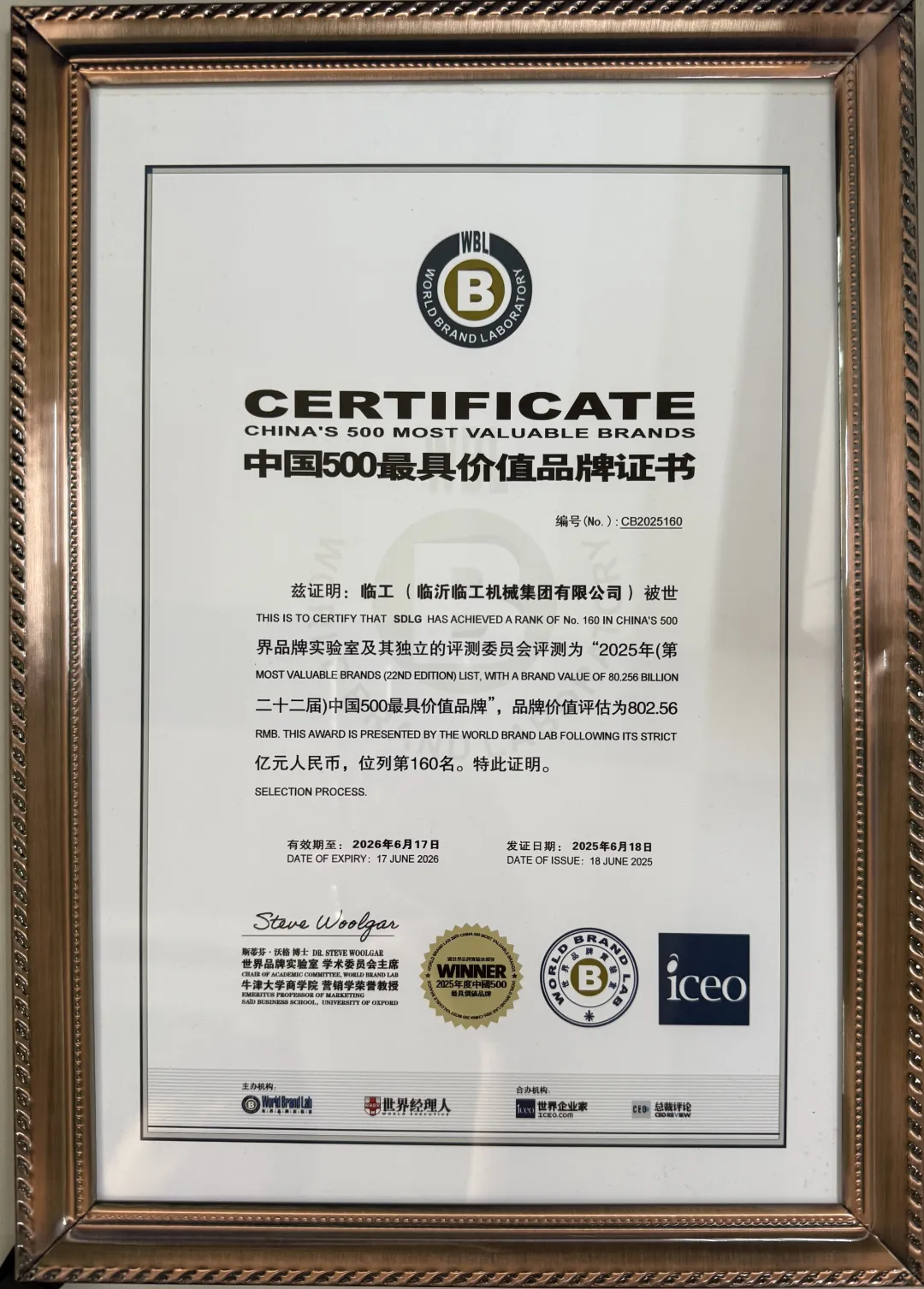 Lingong Group’s brand value is ¥80.26B, ranked in China’s Top 500 Most Valuable Brands for 12 years